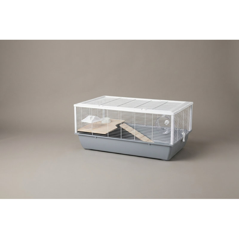 Small Animal, Grey