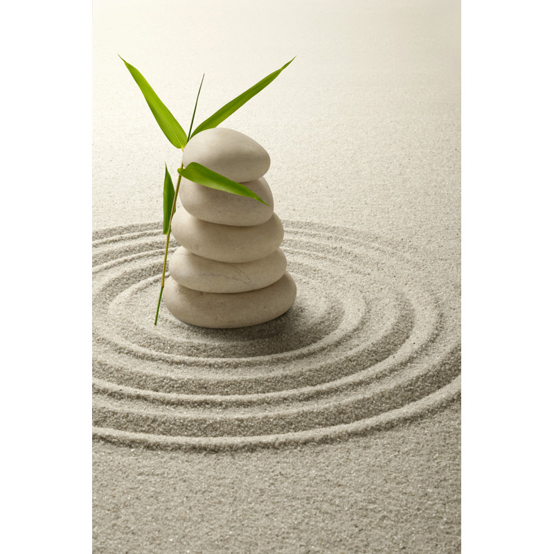 Pebble hug 1 Piece Wrapped Canvas Wall Art, 46cm H x 30cm W