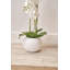 115cm Faux Plant in Cement Pot