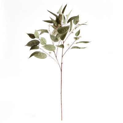 41-Inch Eucalyptus Seed Stem