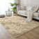 Alaunna Standard Shag Area Rug