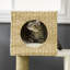 Durrant 100.5cm H Cat Tree