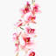 Orchid Arrangement-1082724741