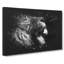 Majestic Lion Illustration - Wrapped Canvas-56648174