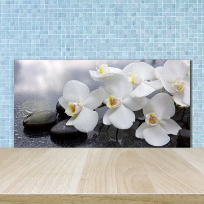 Lloydine 50cm W x 100cm L Glass Peel and Stick Panel
