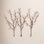 Lighted Brown Branch Set with White Berries