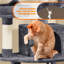 158cm  Cat Tree-688557709