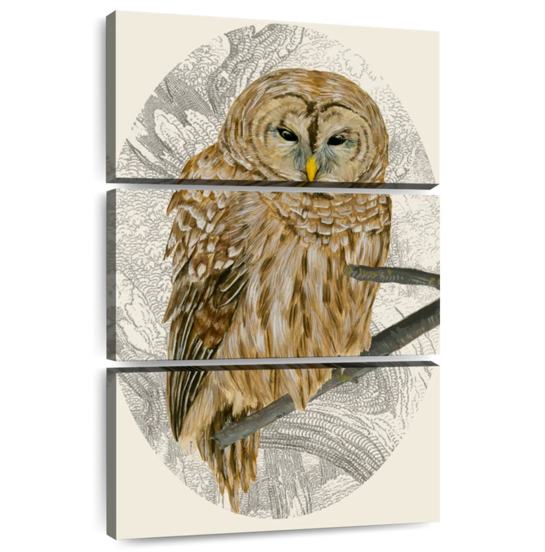 Brampt Barred Owl I, 32" H x 20" W