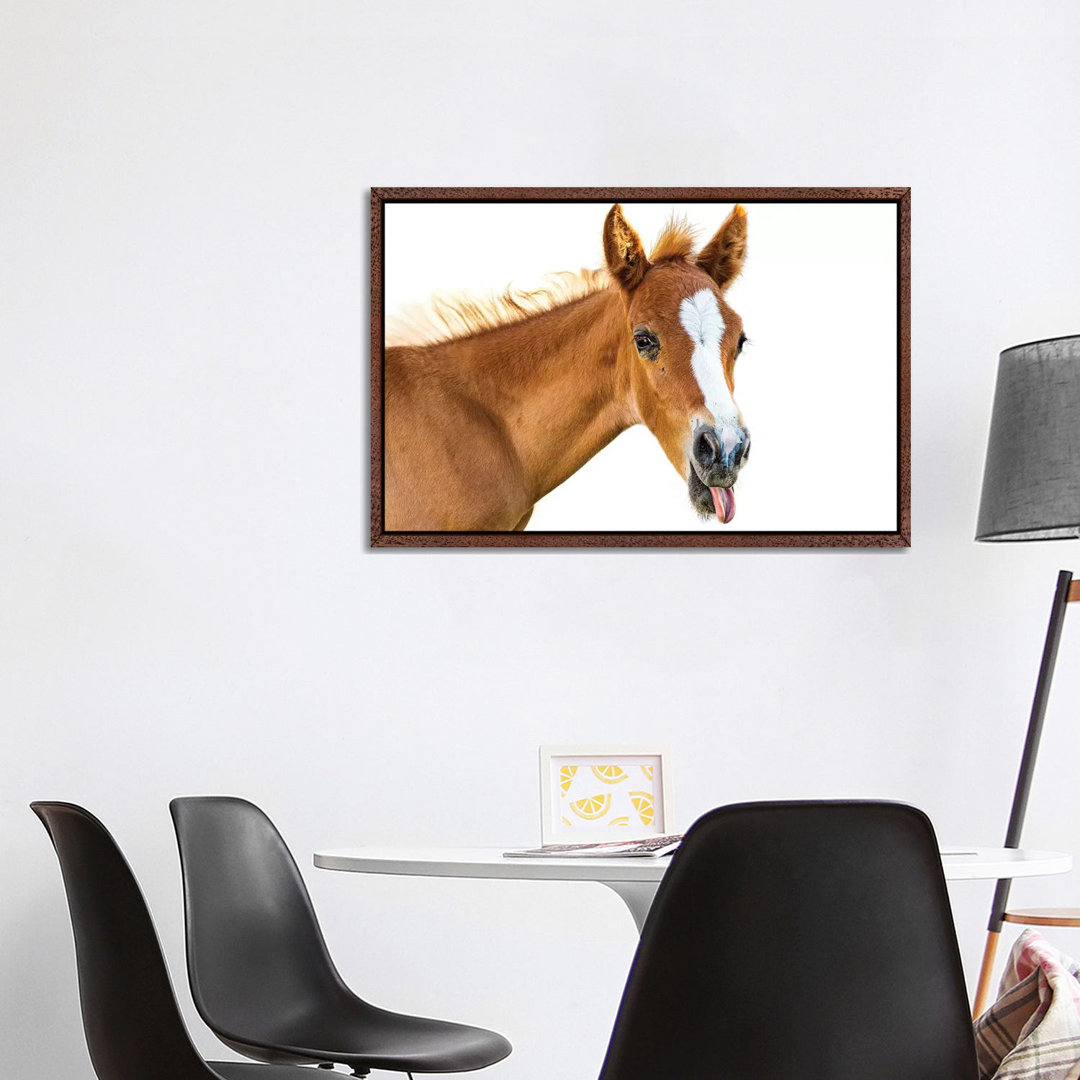 Funny Baby Horse Sticking Tongue Out by Susan Richey - Gallery-Wrapped Canvas Giclée on Canvas