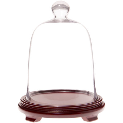 Cloche à dôme en verre 8,5 "x 11" Cogburn