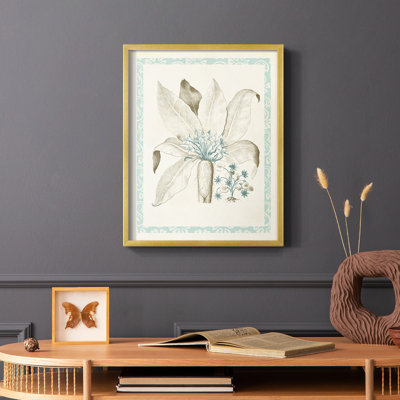 Willow Blue Besler V Framed Print - Solid Wood