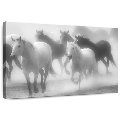Brampt Team Of Horses BW