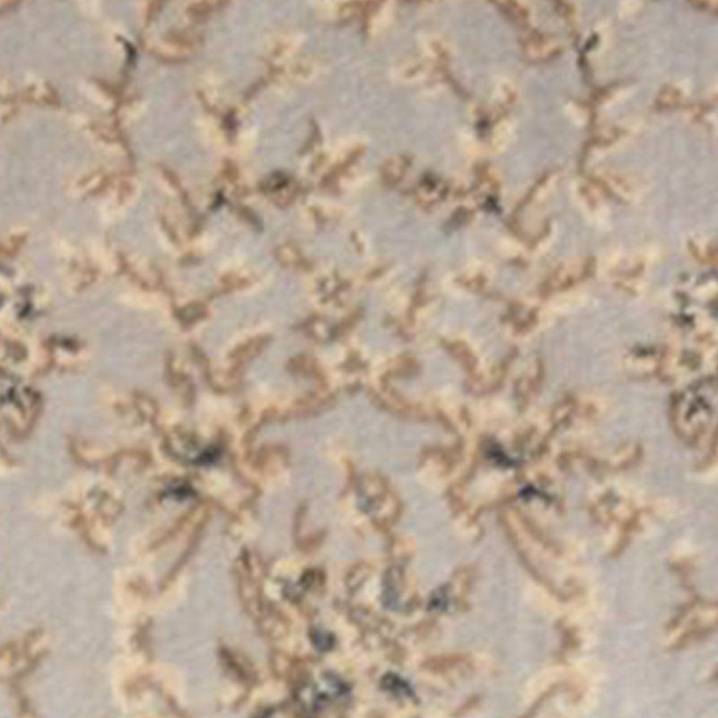 Vianney Oriental Slate Area Rug, Rectangle 3'3" x 5'3", Light Gray