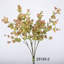 Buissons d'eucalyptus Hamlin-88400812