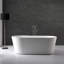 Aquatre 58.88'' L Freestanding Soaking Bathtub