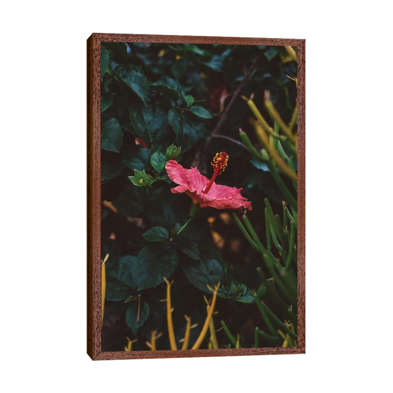 California Bloom by Bethany Young - Print on Canvas, Classic Brown Wood Framed, 66.04cm H x 45.72cm W x 3.81cm D