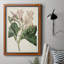Toile encadrée de qualité supérieure Antique Botanical Collection-1421748417