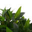 ARBRE D'OLIVE ARTIFIQUE 150CM 150CM