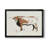 Terre Cotta Steer IV - Matted and Framed Under Glass, Large Living Room Wall Art-28894672-28894678-28871994