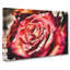 Pink Rose Flower Vol.4 - Wrapped Canvas-61838522