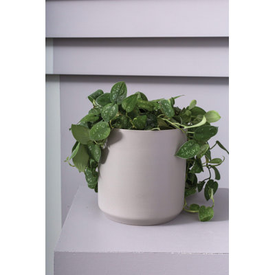 Pot à fleurs en céramique Parsons