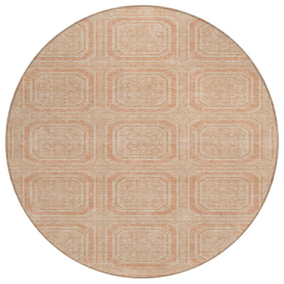 Solandra Orange Washable Indoor-Outdoor Rug - LOOMLAN