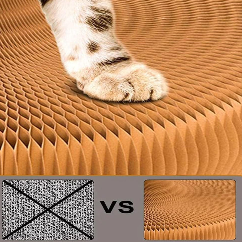 Elijahwon Scratching Post