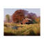« red grange under trees », reproduction de photo sur toile tendue-1012554753