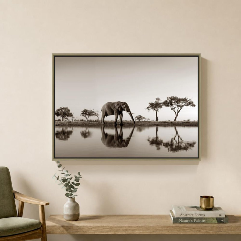 «Botswana Park» par Danita Delimont - impression sur toile, H 18 po x l 24 po, Cadre flottant biseauté, Champagne