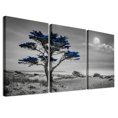 Ensemble de 3 toiles murales représentant un cyprès bleu sur des dunes de plage en niveaux de gris