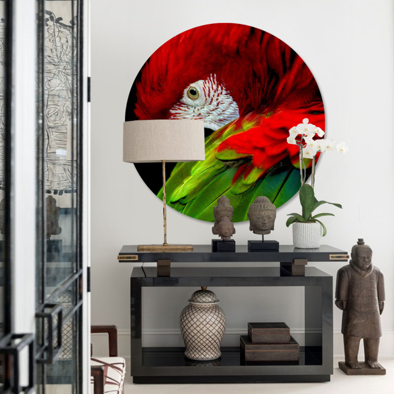 Perroquet en pose - photographie, H 24 po x l 24 po x P 1,5 po, Aluminium