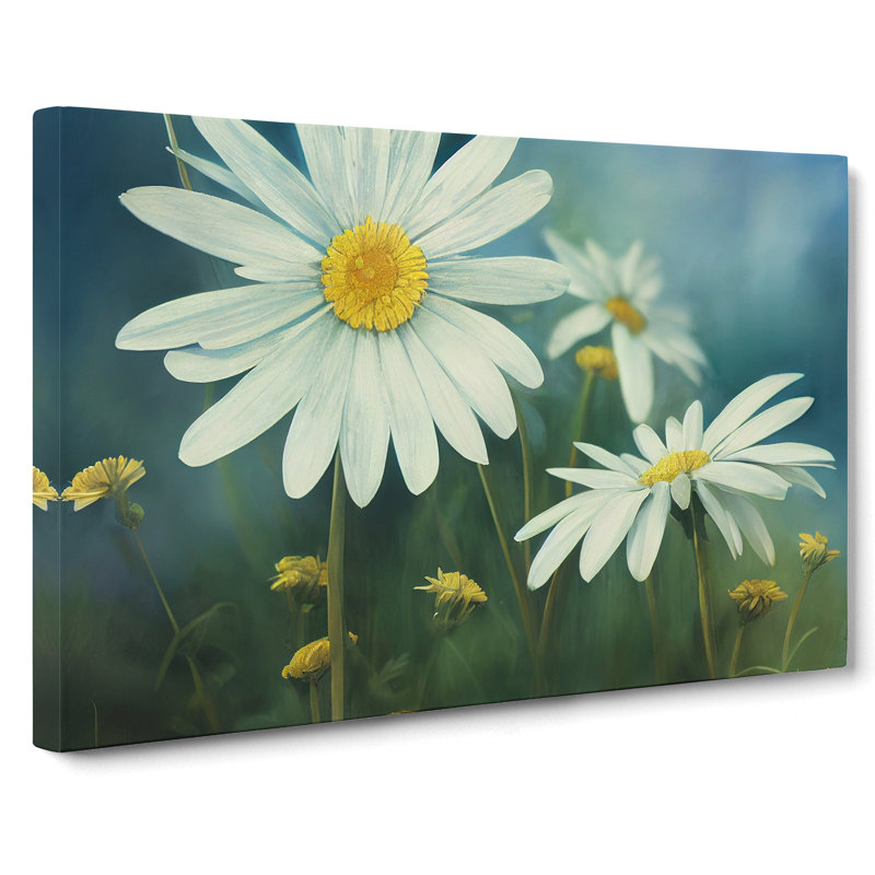 Elegant Daisy Flowers - Wrapped Canvas, 50cm H x 76cm W x 3cm D