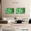 Plantes grasses simples