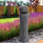VanVleet Weather Resistant Floor Fountain with Light