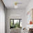 Pontus Crystal Semi Flush Mount-1084251373