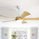 Whisper 52" 5-ABS Blade Modern Classic Ceiling Fan With LED Three-Tone Light And Ultra-Quiet Remote Control Adjustment