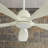 Ximena 56'' Ceiling Fan with Light Kit-33199860