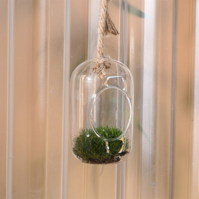 Glass Terrarium