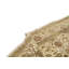 Wool Oriental Area Rug in Ivory