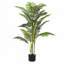 61" Artificial Palm Tree With Pot, Set of 2