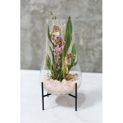 Audrina Handmade Glass Table Vase