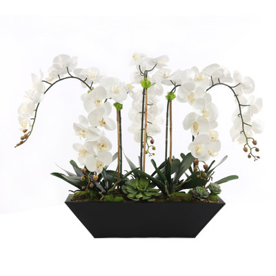 Faux Silk Orchid Arrangement in Pot