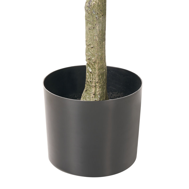 160cm Faux Ficus Tree in Pot