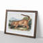 Cougar by J.W. Audubon - Picture Frame Painting Print-55510531-55510532