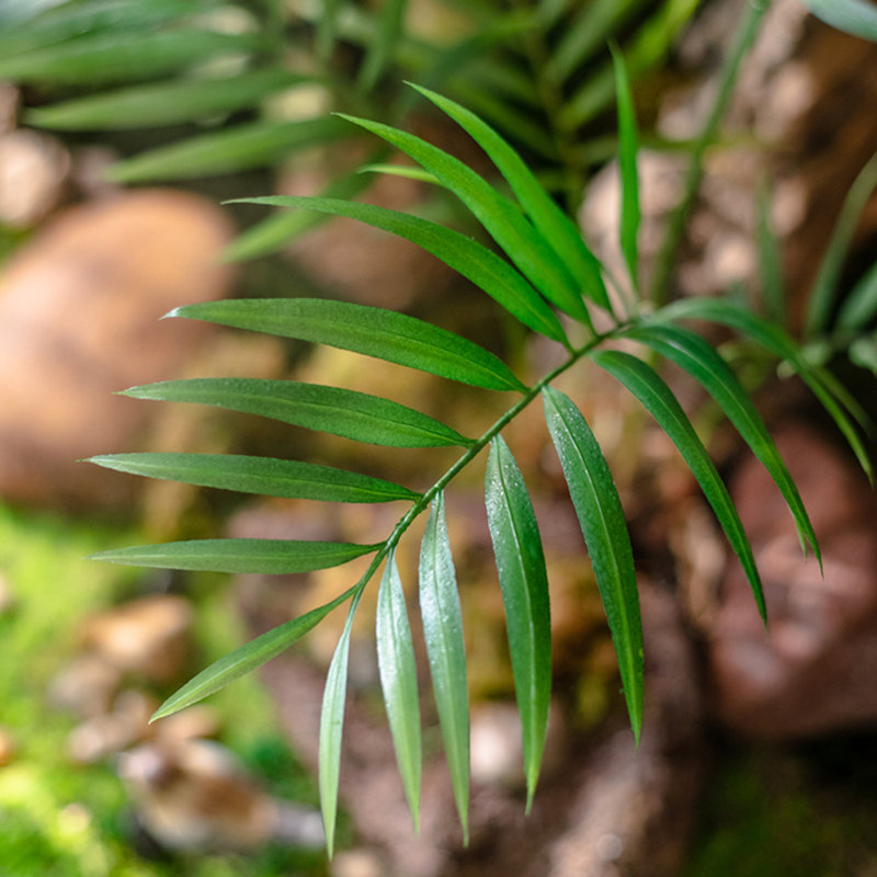 23.6 " H Faux Fern Plant