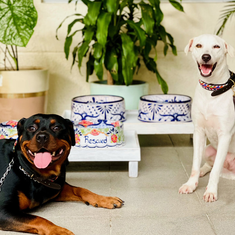 Anti-Skid Pet Bowl