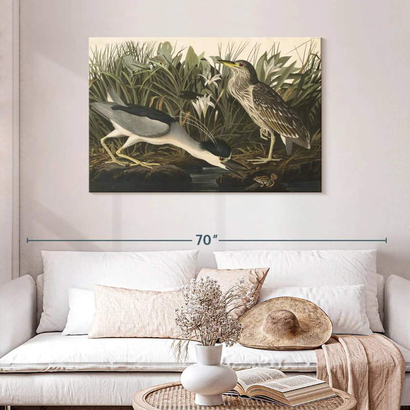 Héron nocturne des oiseaux d'Amérique, H 30 po x l 45 po