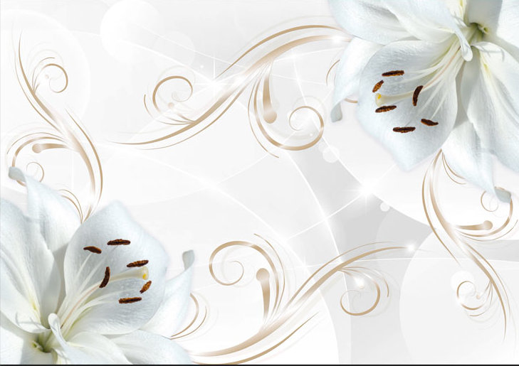 White Dancers 2.8m x 400cm Wallpaper, 300 cm x 210 cm
