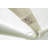 10' W x 20' D Canopy