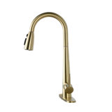 Pull Down Single Handle Kitchen Faucet